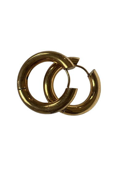 Ariana Hoops